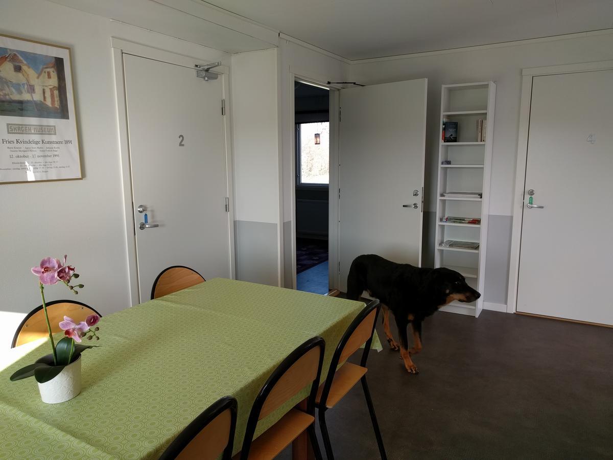 Olserods Hundcenter & Vandrarhem Degeberga ภายนอก รูปภาพ